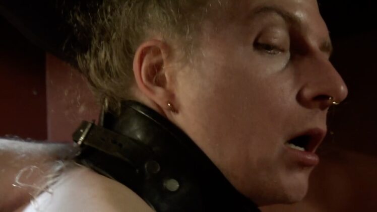 Brendan’s New Life